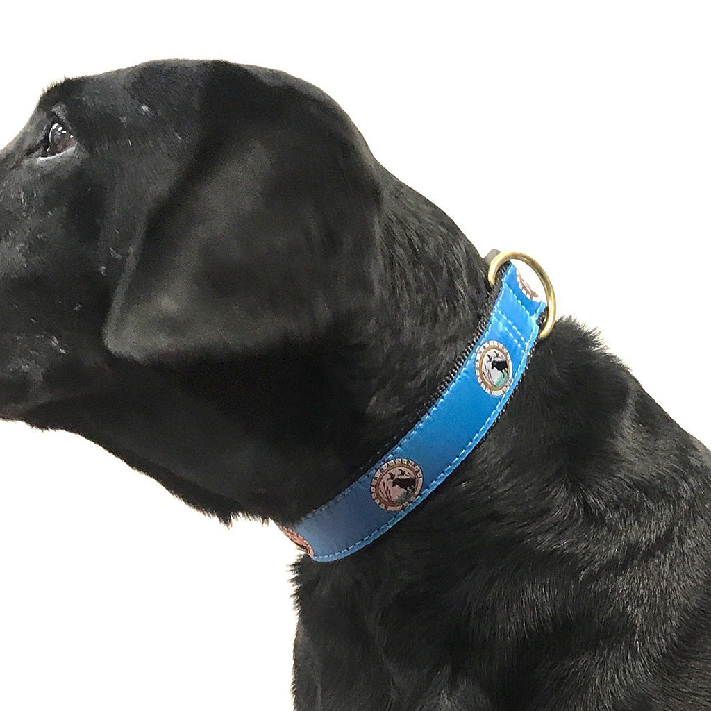Wienerlock sale dog collar