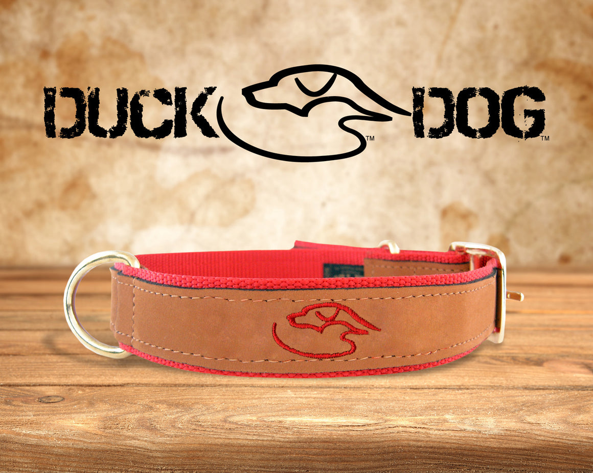 Duck Dog Clothing Buckle Dog Collars Duck Dog Clothing Co.