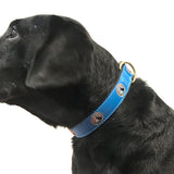 MN Accessory - Dog Collars