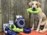 Dog Toy - Flyer (Frisbee that Floats)